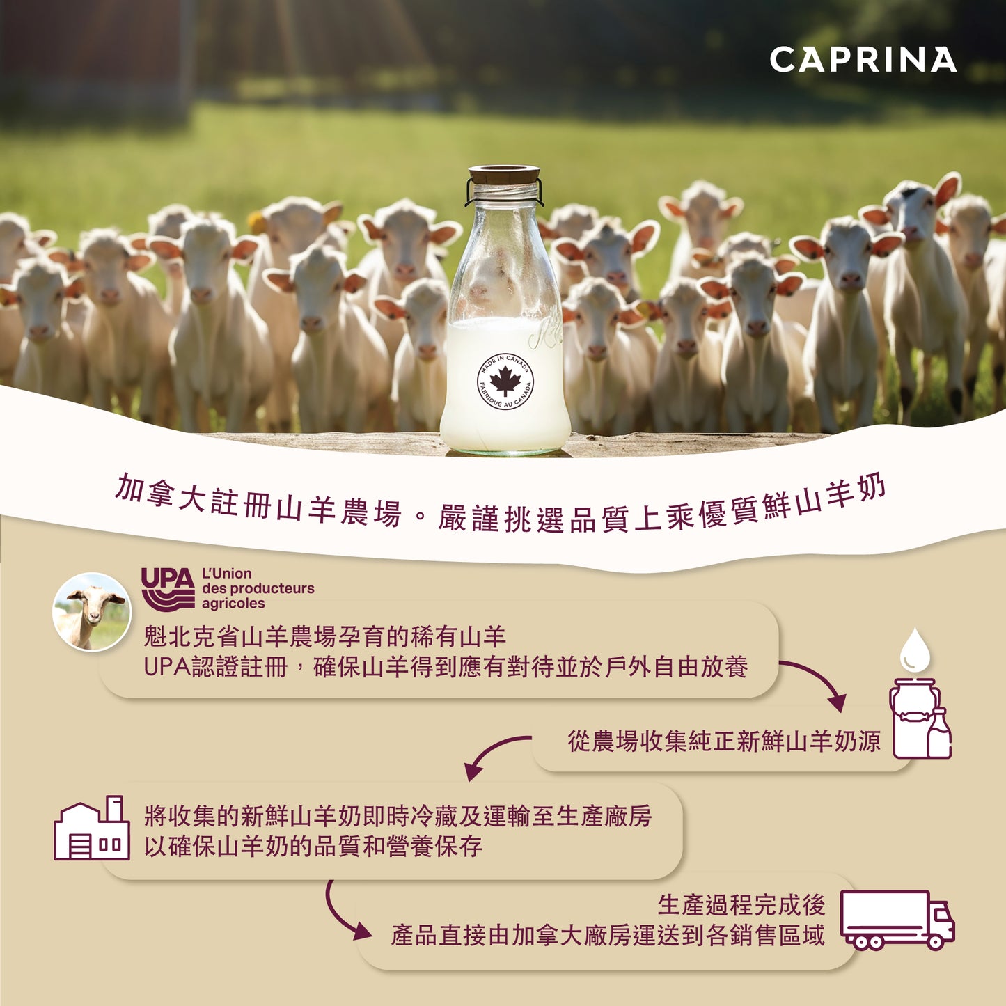 Caprina - 鮮山羊奶保濕乳 (薰衣草) 500ML