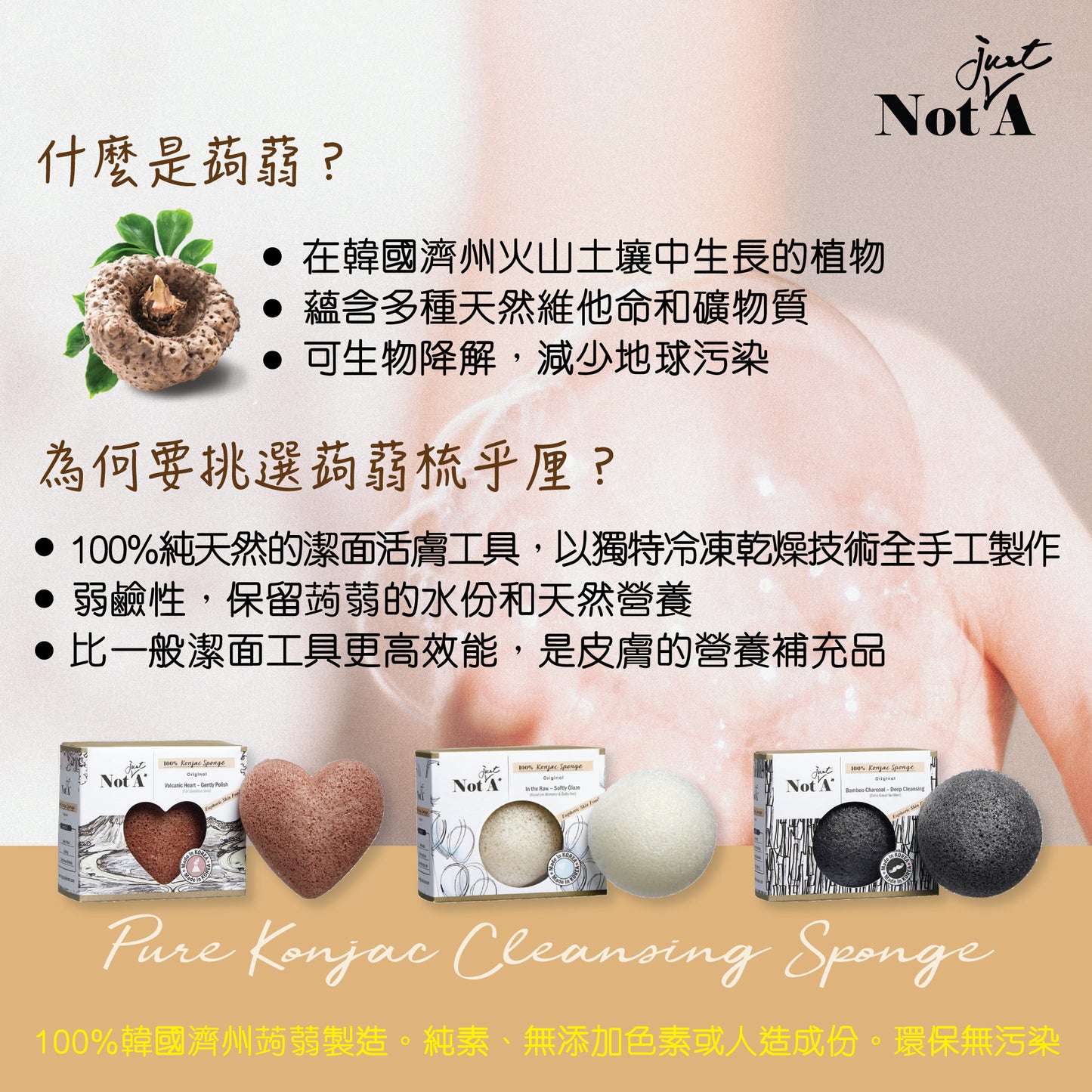 NotJustA - Konjac Face Sponge (Bamboo Charcoal)