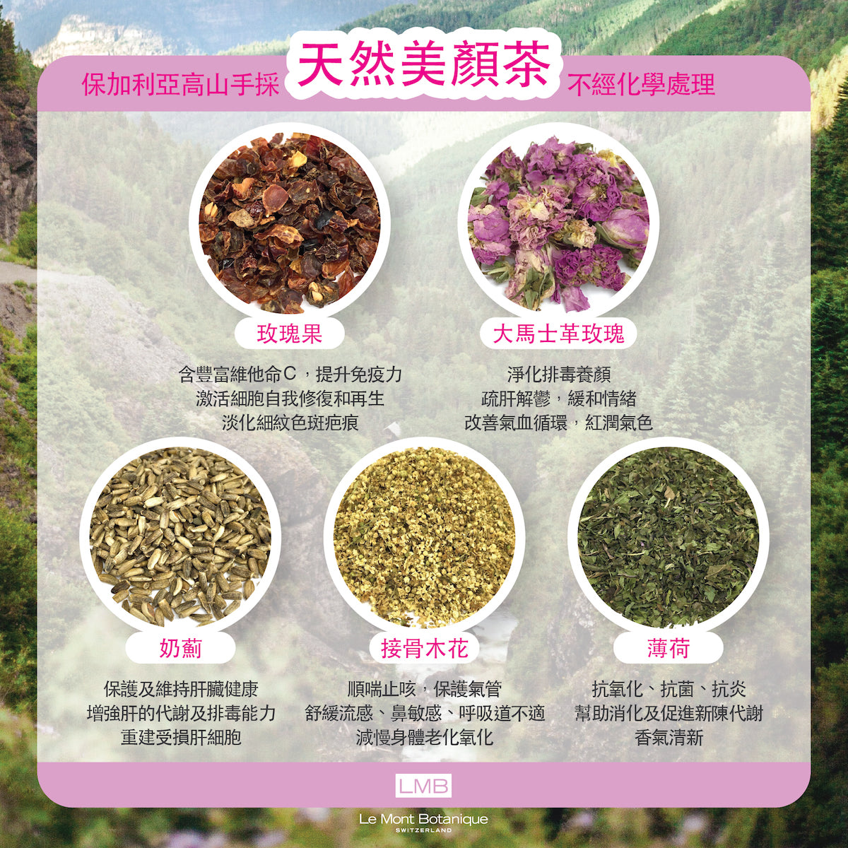 LMB - Beauty Tea Blend 10teabags